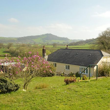 Bed and Breakfast Bryn Hebog Carmarthen Esterno foto