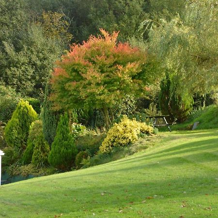 Bed and Breakfast Bryn Hebog Carmarthen Esterno foto