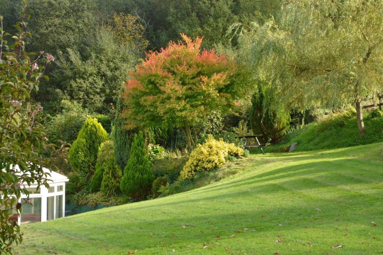 Bed and Breakfast Bryn Hebog Carmarthen Esterno foto